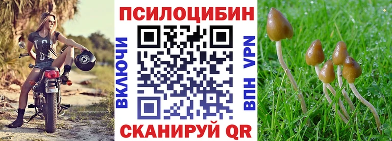 Псилоцибиновые грибы Psilocybine cubensis  дарк нет клад  Зима 